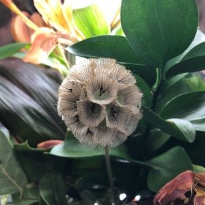 Meet your Posher, Tara